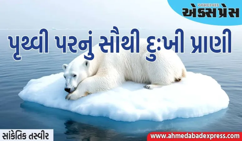 World Saddest Animal: આ પૃથ્વી પરનું સૌથી દુઃખી પ્રાણી છે, વાત જાણીને તમારી આંખો ભરાઈ જશે