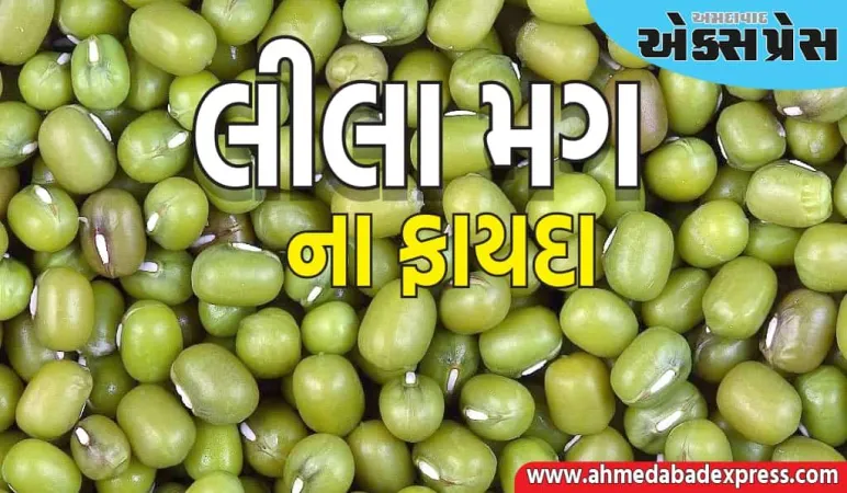 લીલી મગની દાળ ગુણોનો ભંડાર છે, તેનું સેવન કરીને ઉર્જા વધારો, તમે આ જબરદસ્ત ફાયદાઓ મેળવી શકો છો