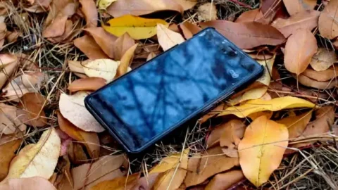 ચોરીના મોબાઈલ વેચનારી મહિલા ઝડપાઈ: 34 ફોન સાથે ગિરફ્તાર