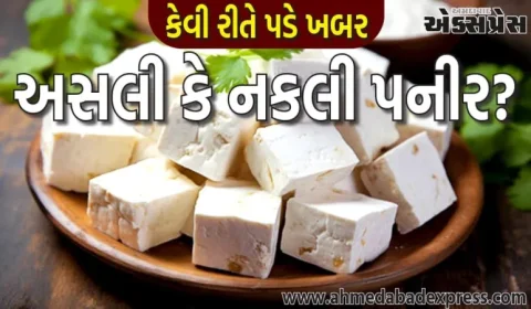 પનીર અસલી છે કે નકલી? તેને કેવી રીતે ઓળખવું?