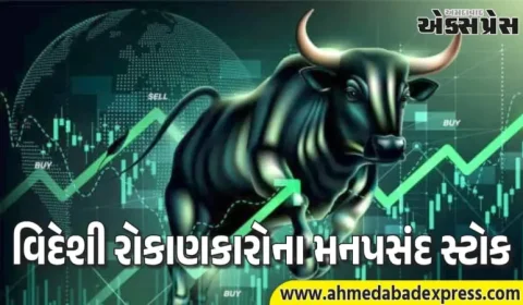 વિદેશી રોકાણકારો આ શેરો માટે પાગલ છે! સંપૂર્ણ યાદી જુઓ
