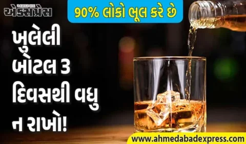 શું ખુલી ગયેલી બોટલનો દારૂ રાખવો યોગ્ય છે? વાઇન નિષ્ણાત પાસેથી જાણો 