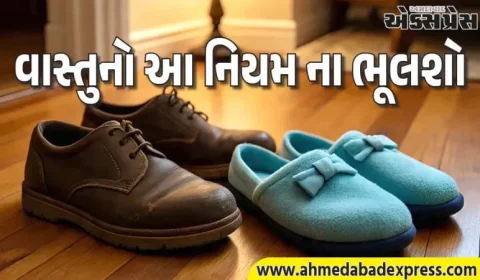 વાસ્તુ મુજબ ઘરમાં ચંપલ-જૂતા પહેરીને આ 4 જગ્યાએ પગ ન મૂકો – દોષ લાગશે