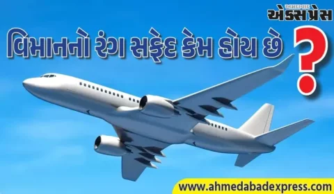 વિમાનો મોટાભાગે સફેદ કેમ હોય છે? પાછળના કારણો તમને આશ્ચર્યચકિત કરી દેશે