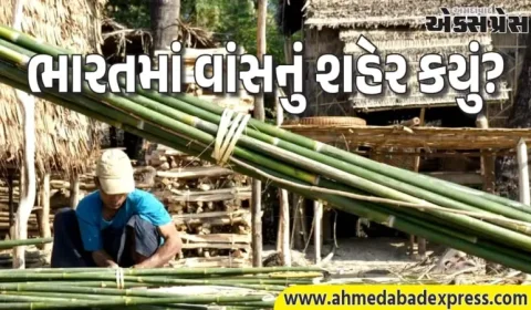 કયું શહેર City of Bamboo તરીકે પણ ઓળખાય છે? જાણો આ રાજસ્થાની શહેરનું રહસ્ય