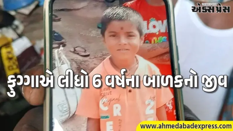 ચોંકાવનારું: ચિપ્સ પેકેટમાંથી મળેલા નાના ફુગ્ગાએ લીધો 6 વર્ષના બાળકનો જીવ