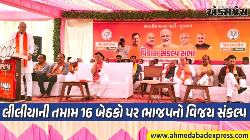 ભાજપનો 'વિકાસ સંકલ્પ': લીલીયા મોટામાં કેસરીયો માહોલ, ધોમધખતા તાપમાં પણ જનમેદની ઉમટી