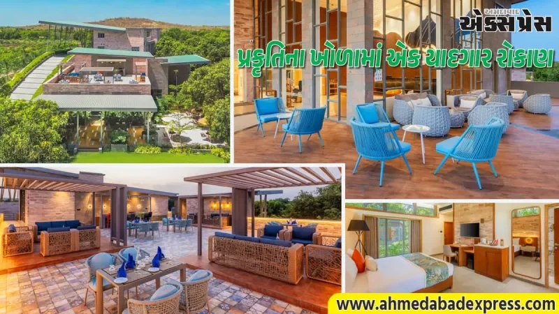 સાસણ ગીરમાં સયાજી હોટેલ્સનો ભવ્ય પ્રવેશ: 'ધ ફોરેસ્ટ ચેપ્ટર' સાથે જંગલ સફારીનો લક્ઝરી અનુભવ