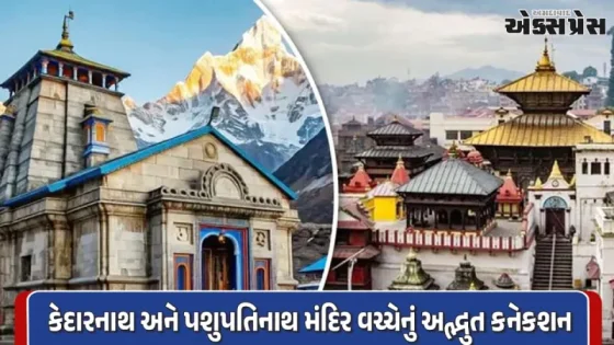 બે શિવ ધામ, એક મહાન રહસ્ય: જાણો કેદારનાથ અને પશુપતિનાથ મંદિર વચ્ચેનું અદ્ભુત જોડાણ