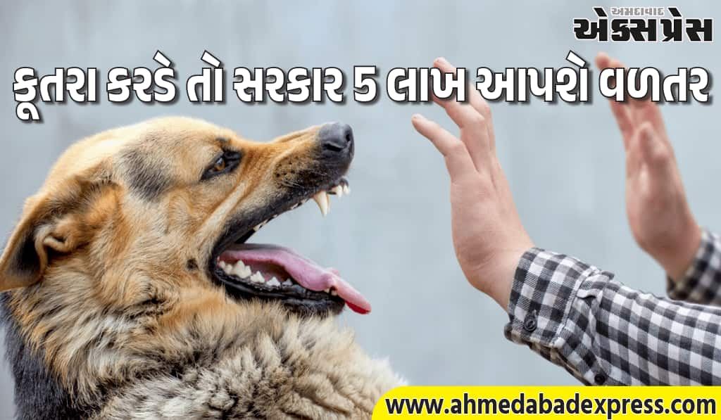 કૂતરા કરડવાથી મૃત્યુ થાય તો ₹5 લાખ વળતર! કર્ણાટક સરકારનો મોટો નિર્ણય