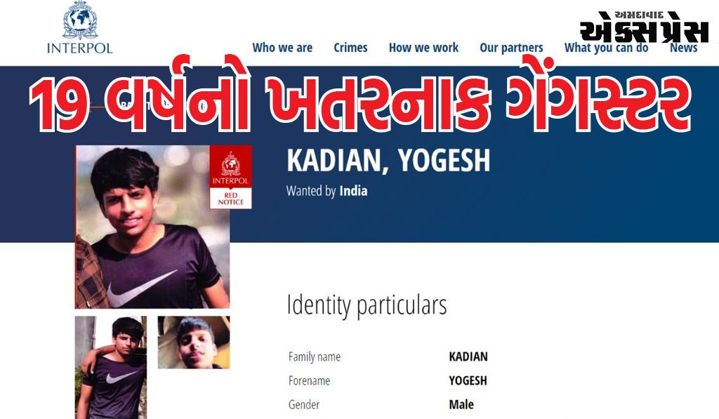 19 વર્ષનો યોગેશ કાદયન ખતરનાક ગેંગસ્ટર બન્યો, ઇન્ટરપોલે રેડ કોર્નર નોટિસ જારી કરી