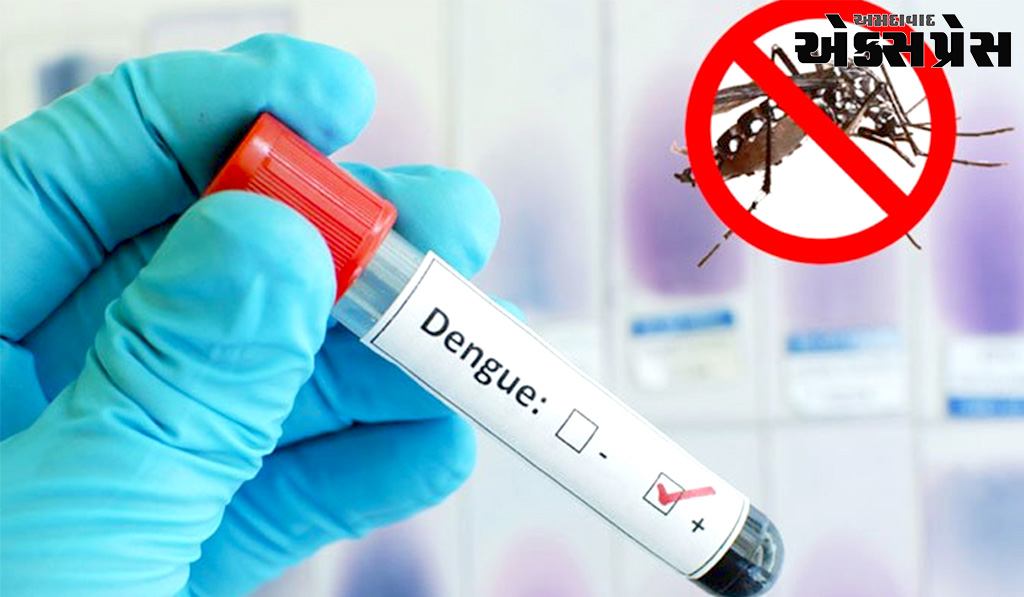 ડેન્ગ્યુનાં વાવર ટાણે રાજપીપળાની એક ખાનગી લેબમાં ખોટા રિપોર્ટ અપાતા હોવાની બૂમ : પગલાં જરૂરી