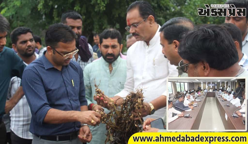 કમોસમી વરસાદના પગલે ઉભી થયેલી પરિસ્થિતિનો તાગ મેળવવા  ભાવનગરના શિહોર ખાતે કૃષિ મંત્રી જીતુભાઈ વાઘાણીએ બેઠક યોજી