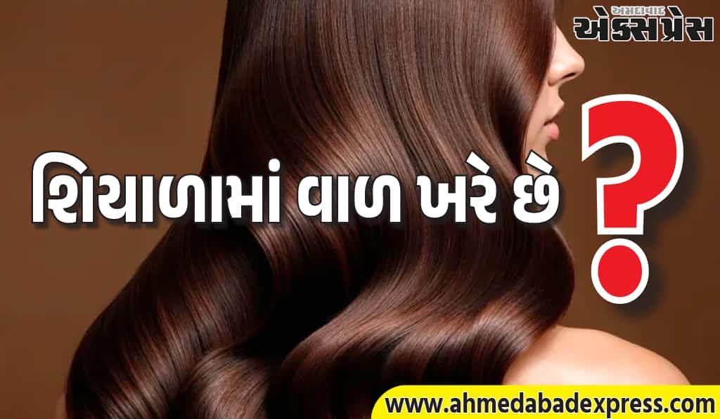 માત્ર 15 દિવસ આમળા તેલ લગાવો – વાળ ખરવાની સમસ્યા કાયમ માટે ભાગી જશે!