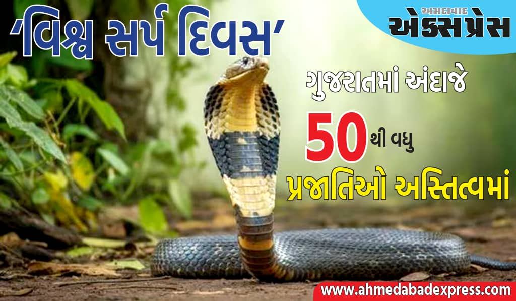 ગુજરાતમાં અંદાજે ૫૦થી વધુ સાપની પ્રજાતિઓ અસ્તિત્વમાં