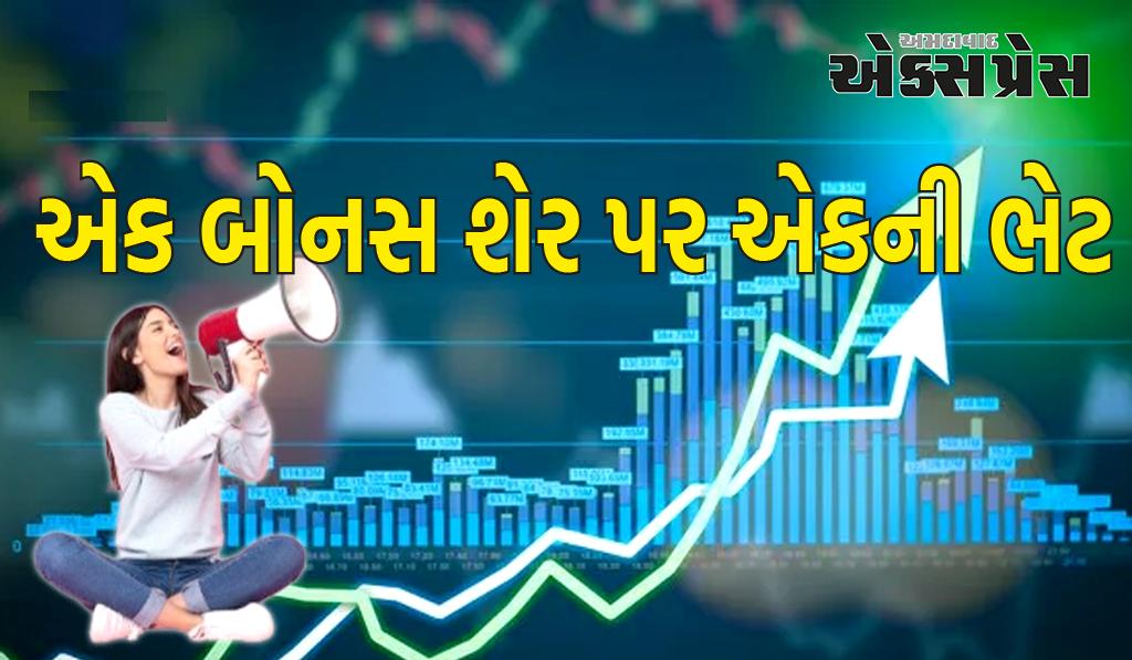 BONUS Share : એક બોનસ શેર પર એકની ભેટ - એક વર્ષમાં સ્ટોકની કિંમત બમણી