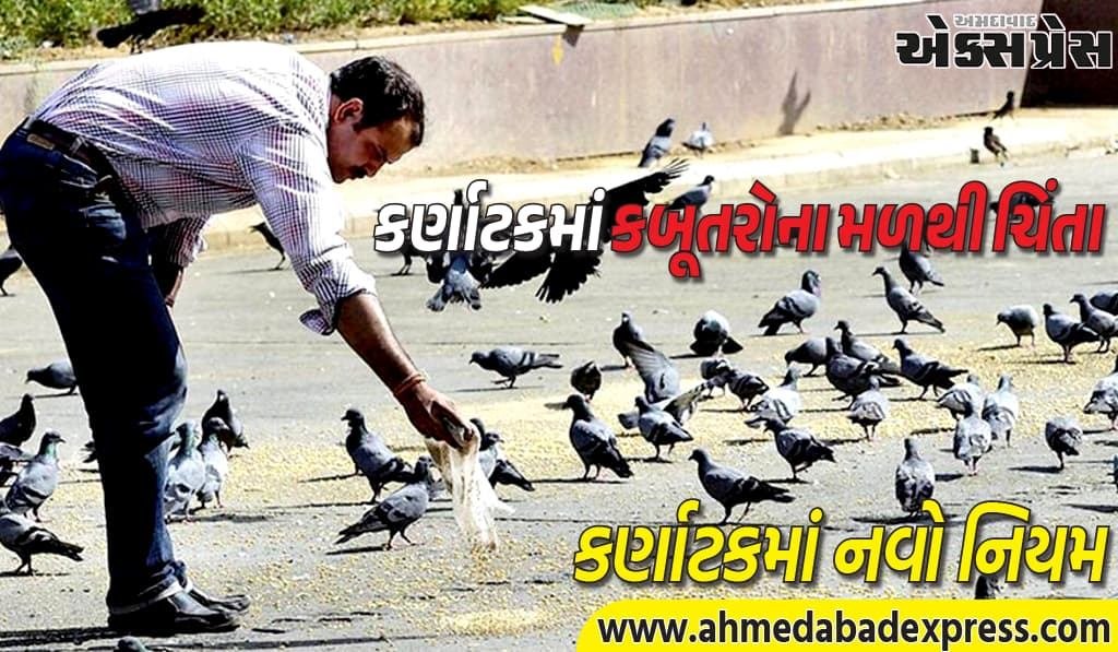 ખુલ્લામાં કબૂતરોને ખોરાક આપવા પર પ્રતિબંધ! કર્ણાટકમાં નવો નિયમ – દંડ અને જાગૃતિ