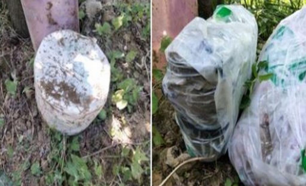 પુલવામામાં માર્યા ગયેલા LeT કમાન્ડરોના OGW નેટવર્કમાંથી IEDs મળી આવ્યા