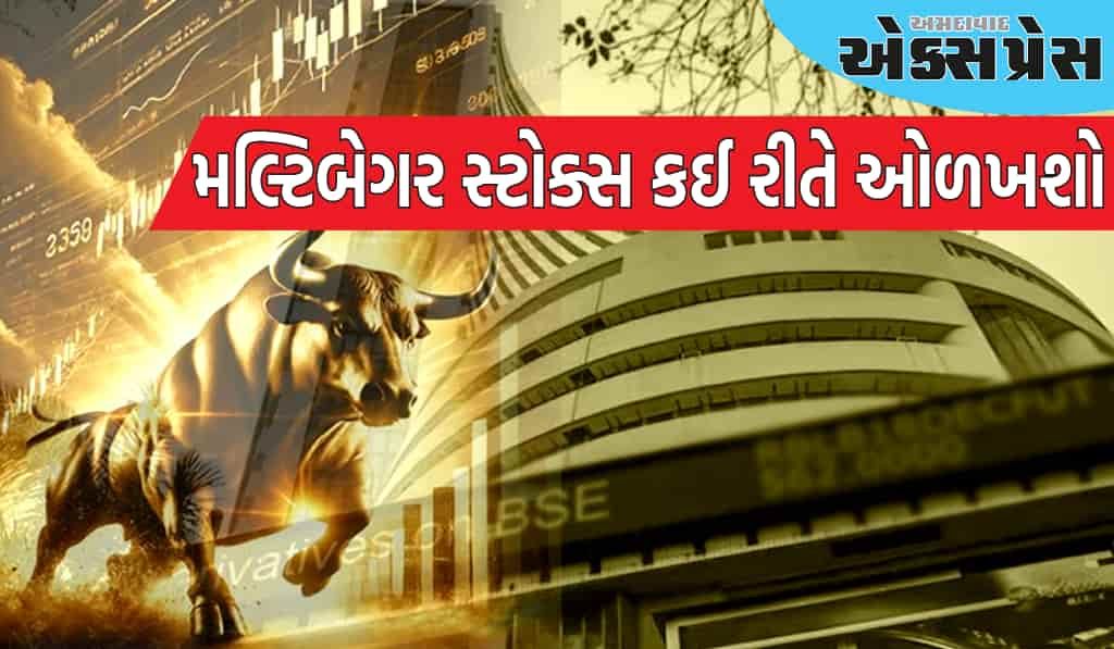 શેરોની ભીડમાં વાસ્તવિક મલ્ટિબેગર સ્ટોક્સ ઓળખો, તમને બમ્પર રિટર્ન મળશે