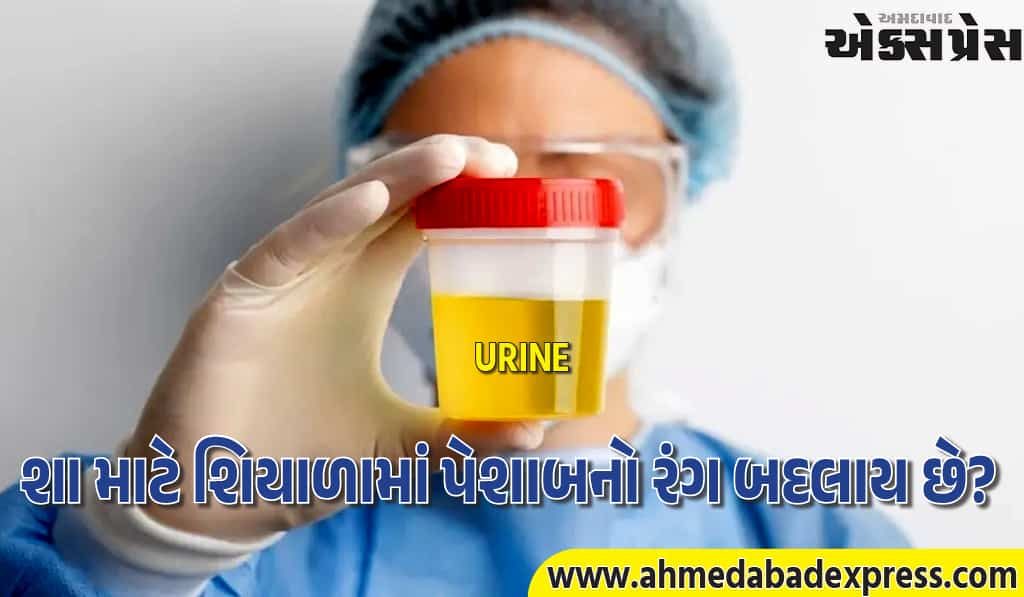 શું શિયાળામાં પેશાબના રંગમાં ફેરફાર બીમારીની નિશાની છે? જાણો નિષ્ણાતો પાસેથી 