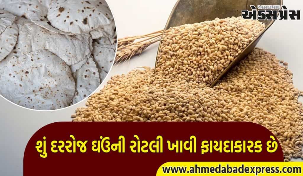 શું દરરોજ ઘઉંની રોટલી ખાવી તમારા સ્વાસ્થ્ય માટે ખતરનાક છે? જાણો નિષ્ણાત પાસેથી