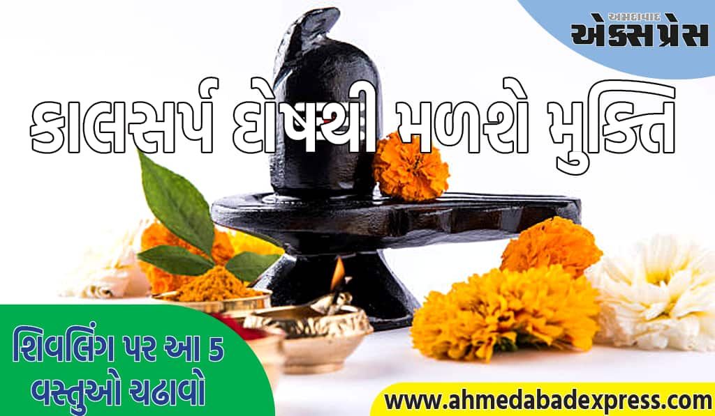 Nag Panchami 2025: નાગ પંચમી પર શિવલિંગ પર આ 5 વસ્તુઓ ચઢાવો, કાલસર્પ દોષથી મળશે મુક્તિ 