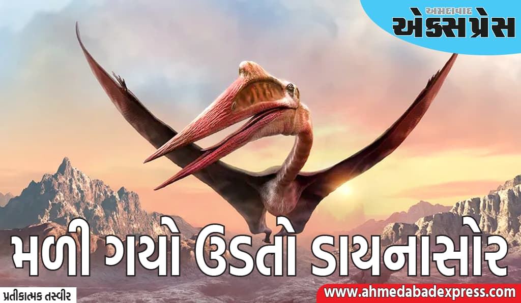 વૈજ્ઞાનિકોએ એક આશ્ચર્યજનક શોધ કરી, 200 મિલિયન વર્ષ જૂનો ઉડતો ડાયનાસોર શોધ્યો