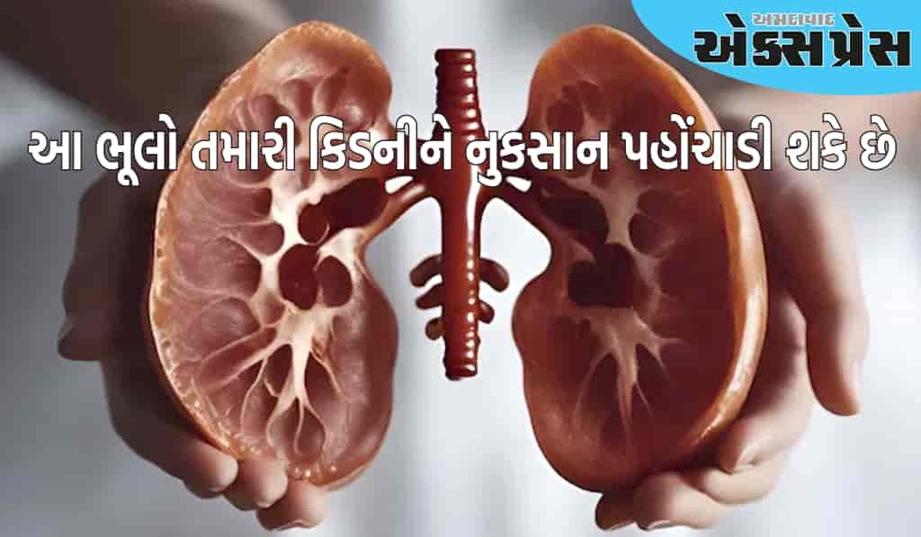 તમારી આ ભૂલો તમારી કિડનીને નુકસાન પહોંચાડી શકે છે, તેના સ્વાસ્થ્યનું આ રીતે ધ્યાન રાખો