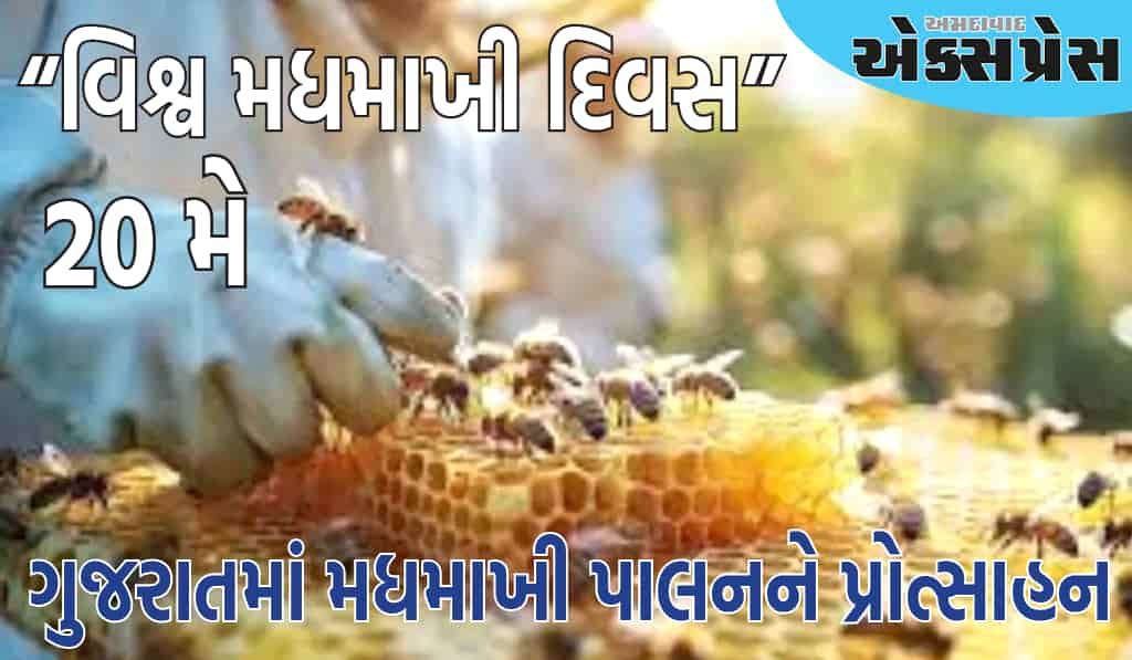 મિશન મધમાખી હેઠળ રાજ્યના ૨૮૪ લાભાર્થીઓને મળી રૂ. ૧૮૦ લાખથી વધુની સહાય