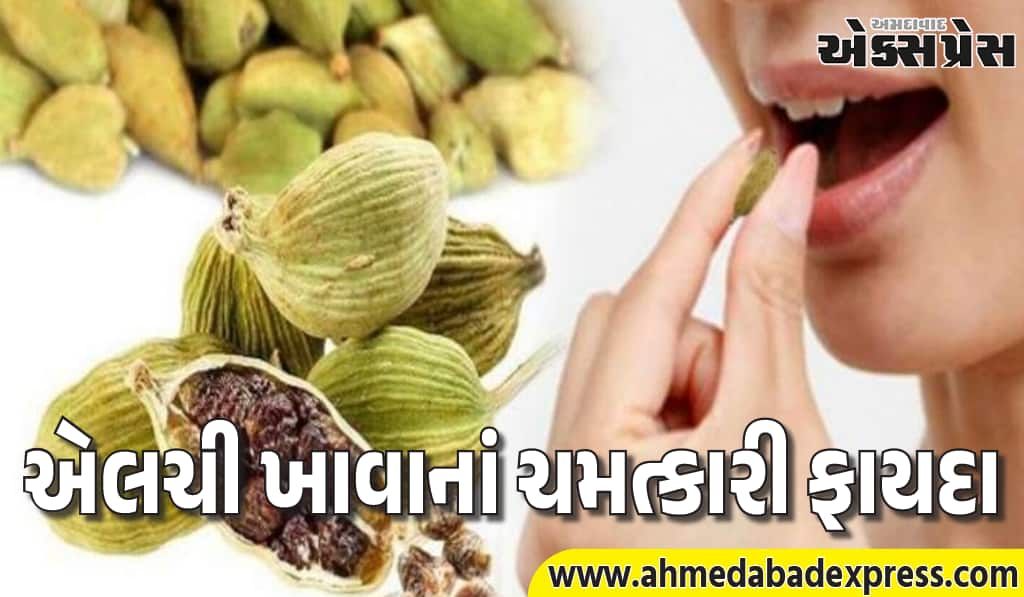 સૂતા પહેલા બે એલચી ખાવાથી શું થાય છે? જાણો તેના ફાયદા 
