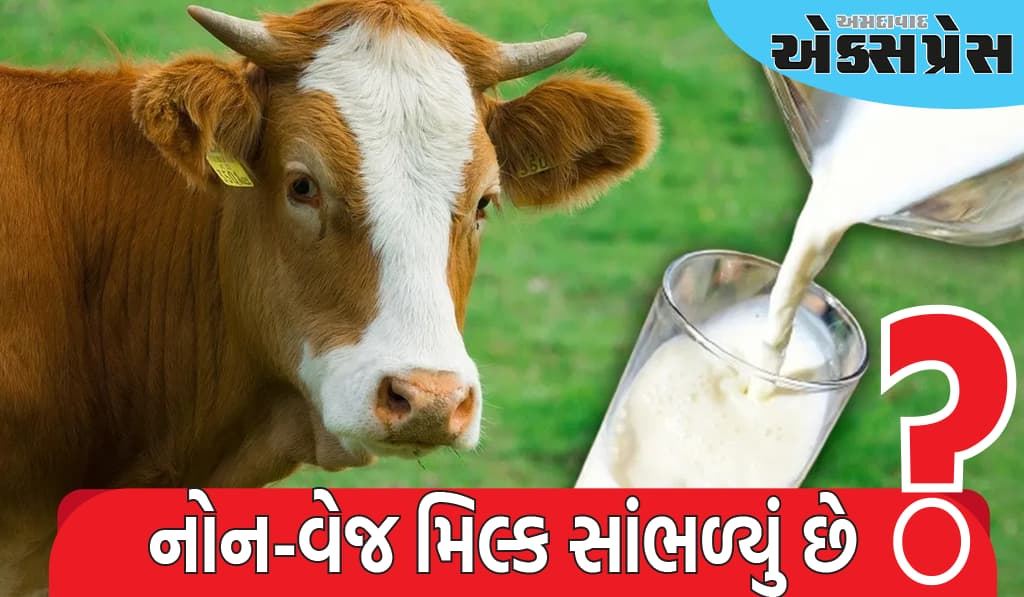 Non-Veg Milk: નોન-વેજ મિલ્ક શું છે, અમેરિકા ભારતમાં કેમ વેચવા માંગે છે? જાણો ફાયદા અને ગેરફાયદા
