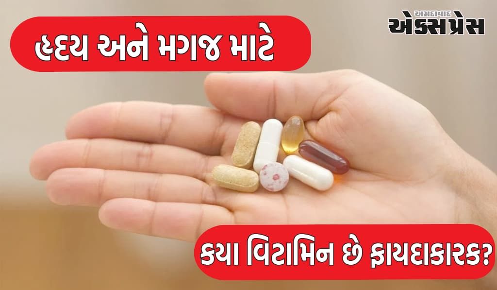 હૃદય અને મગજ બંને માટે કયા વિટામિન છે ફાયદાકારક? જાણો નિષ્ણાત પાસેથી