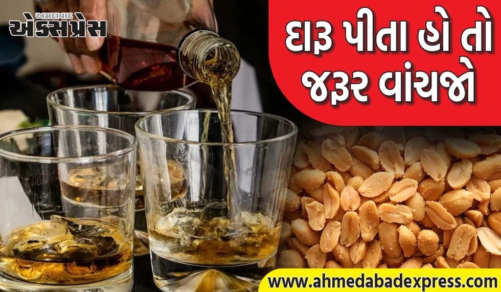 દારૂ સાથે ખારી સીંગ કેમ? વાઇન નિષ્ણાતે કહ્યું – આ છે માલિકોની માસ્ટર સ્ટ્રેટેજી