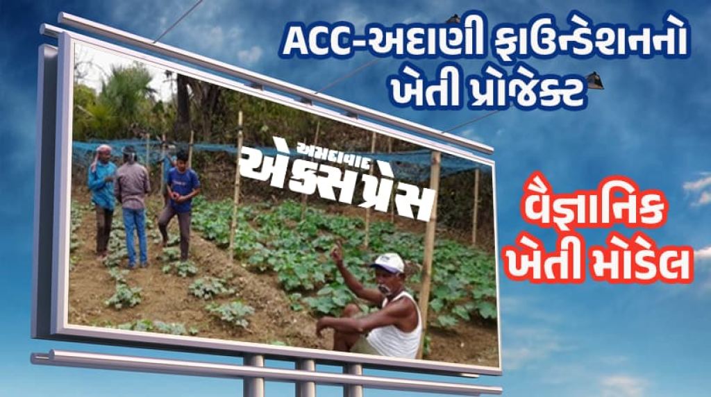 ACC અદાણી ફાઉન્ડેશનનો પ્રોજેક્ટ: ટપક સિંચાઇથી આવક વધી