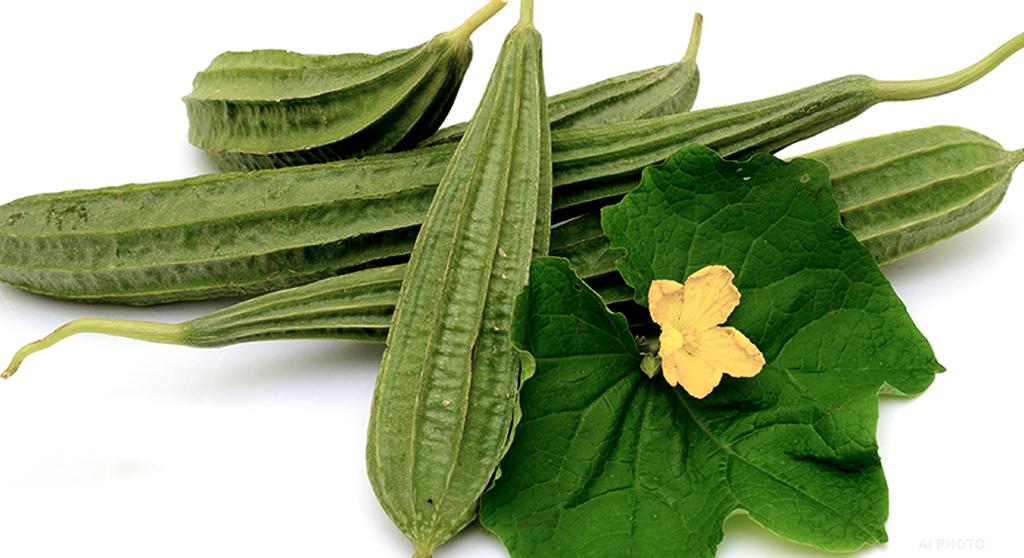 તોરીના ફાયદા: ડાયાબિટીસ, ત્વચા અને પેટની સમસ્યાઓ માટે ગુજરાતી રસોડાની અજાયબી