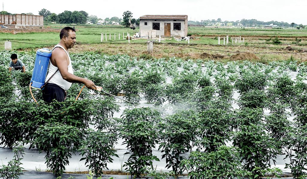 ખાતરની આયાત માટે ભારતનો નવો એક્શન પ્લાન