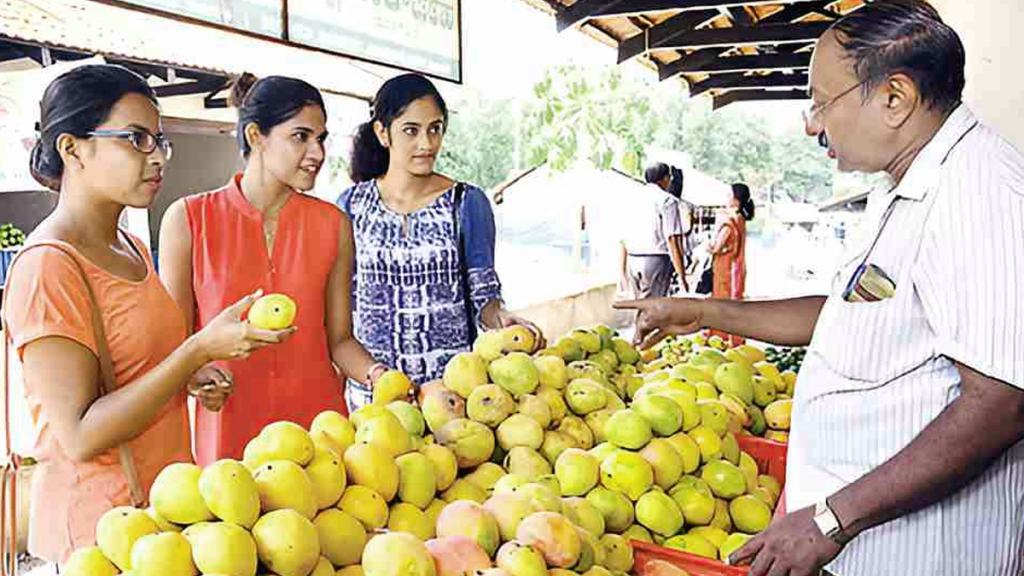 ખુશખબર: જૂનાગઢ અને ગીર સોમનાથના ખેડૂતો હવે વિદેશમાં વેચશે કેરી અને ચીકુ! જાણો APEDA ફાર્મ રજીસ્ટ્રેશનની સંપૂર્ણ પ્રક્રિયા