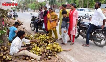 નર્મદા જિલ્લાના આદિવાસી લોકો  માટે તાડફળી  રોજગારનું મુખ્ય સ્ત્રોત “લોકલ ફોર વોકલ”