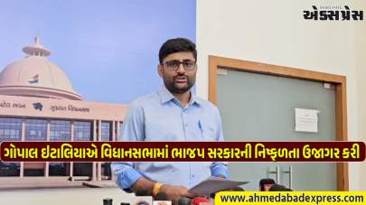 300 પંચાયત સીટો ખાલી, વિકાસ અટવાયો, ગોપાલ ઇટાલિયાએ ભાજપ સરકારને લલકારી