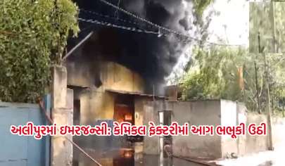 નવી દિલ્હીના અલીપુરમાં રાસાયણિક પ્લાન્ટમાં આગ ફાટી નીકળી