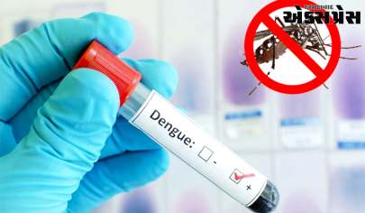 ડેન્ગ્યુનાં વાવર ટાણે રાજપીપળાની એક ખાનગી લેબમાં ખોટા રિપોર્ટ અપાતા હોવાની બૂમ : પગલાં જરૂરી