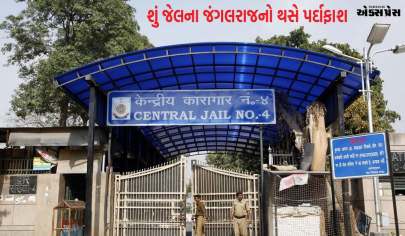 Tillu Tajpuriya Murder Caseમાં તિહાર જેલના 7 કર્મચારીઓ પર કાર્યવાહી