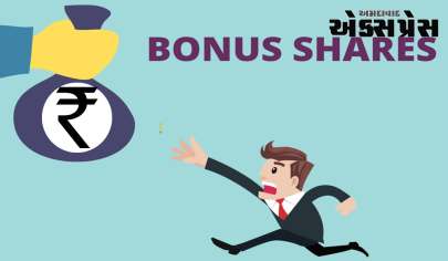 Bonus Share : દિવાળી પહેલા મફત શેરની ભેટ – તમને 1 બોનસ શેર માટે 1 મળશે