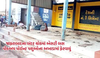 જાફરાબાદના બંદર ચોક ખાતે ST બસ પીકઅપ પોઈન્ટ પર ઢોરનો કબજો, રહીશો રોષે ભરાયા