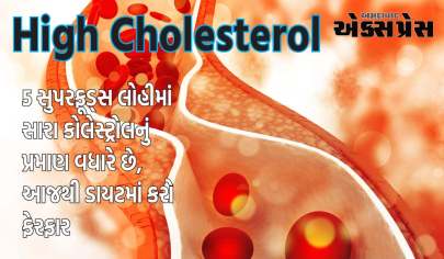 Cholesterol Control Diet: આ 5 સુપરફૂડ્સ લોહીમાં સારા કોલેસ્ટ્રોલનું પ્રમાણ વધારે છે, આજથી ડાયટમાં કરો ફેરફાર