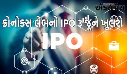 ક્રોનોક્સ લેબનો IPO 3 જૂને ખુલશે, ગ્રે માર્કેટમાં જોરદાર તેજી