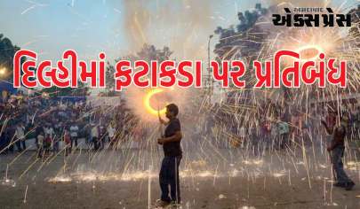 Delhi Firecrackers Ban: દિલ્હીમાં ફટાકડા સળગાવવા પર પ્રતિબંધ, તેના સંગ્રહ અને વેચાણ પર પ્રતિબંધ રહેશે.