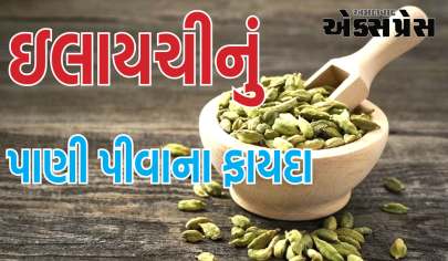 દિવસમાં આટલી વખત ઇલાયચીનું પાણી પીવો, સુગર અને કોલેસ્ટ્રોલ બંને રહેશે નિયંત્રણમાં, જાણો એલચીનું પાણી બનાવવાની રીત