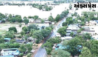 તેલંગાણામાં ભારે વરસાદને કારણે સર્વત્ર તબાહી જેવી સ્થિતિ, ઘણી જગ્યાએ ઘરો અને રસ્તાઓ પણ ડૂબી ગયા