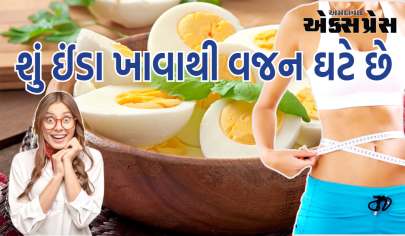 શું ઈંડા ખાવાથી વજન ઘટે છે, જાણો ખાવાનો સાચો સમય અને રીત